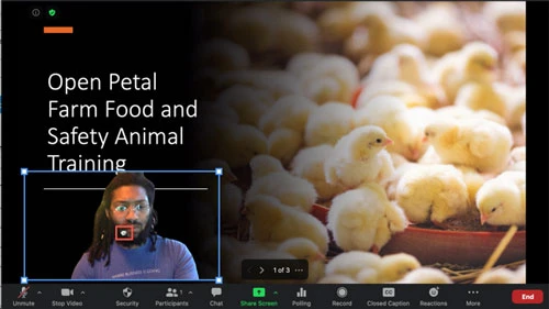 Nhấp vào và giữ ở giữa ảnh, sau đó kéo chuột để thay đổi vị trí của ảnh trên trang chiếu