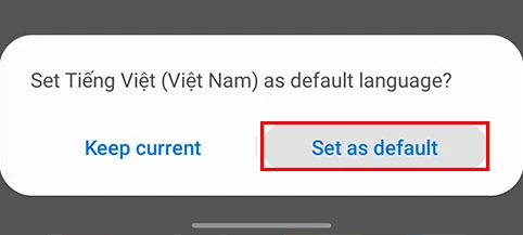 Bạn nhấn chọn Set as default là bạn đã thay đổi ngôn ngữ trên Zoom.