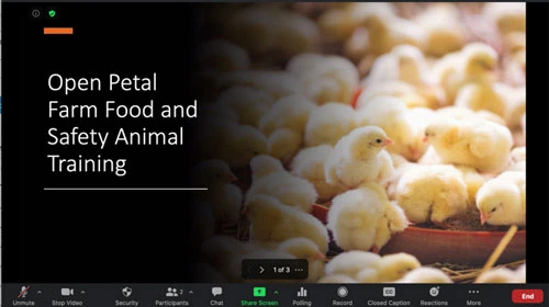 Từ đó, người tham gia của bạn sẽ xem các trang chiếu dưới dạng chia sẻ màn hình bình thường và nguồn cấp video của bạn sẽ được truyền dưới dạng một nguồn tách biệt. Bạn vẫn có thể điều hướng các trang chiếu từ bảng điều khiển cuộc họp