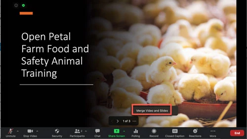 Để chèn lại video lên trang chiếu, nhấp vào Hợp nhất video và trang chiếu