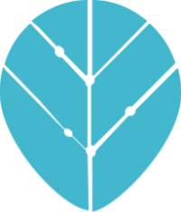 Yealink VC800 - Giải pháp hội nghị truyền hình 24 điểm