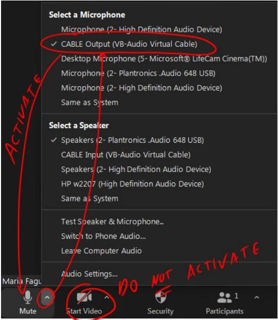 Mở cuộc họp Zoom của bạn, hủy kích hoạt camera Zoom. Chọn “CABLE Output (VB-Audio Virtual Cable)” làm Micrô Zoom của bạn (KHÔNG làm loa của bạn!), Kích hoạt nó.