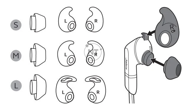 Chọn EarGel và EarWing chính xác