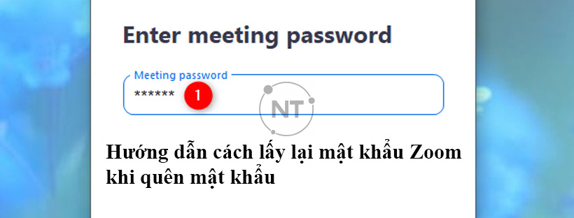 Hướng dẫn cách lấy lại mật khẩu Zoom khi quên mật khẩu