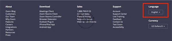 Hướng dẫn cách đổi ngôn ngữ trong Zoom