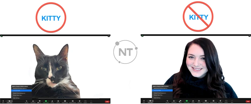 Cách tắt Cat filter