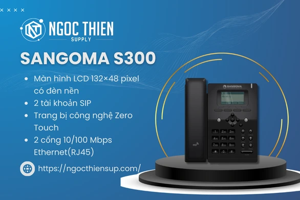 Các đặc điểm nổi bật của Sangoma S300