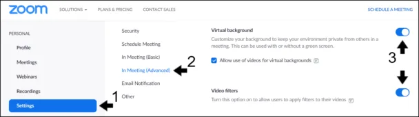 Đảm bảo rằng Nền ảo và Bộ lọc ảo được bật . Nếu chúng đã được bật, bạn có thể thử tắt và bật chúng để làm mới cài đặt. Ngoài ra, hãy đánh dấu vào hộp “Cho phép sử dụng video làm nền ảo”.