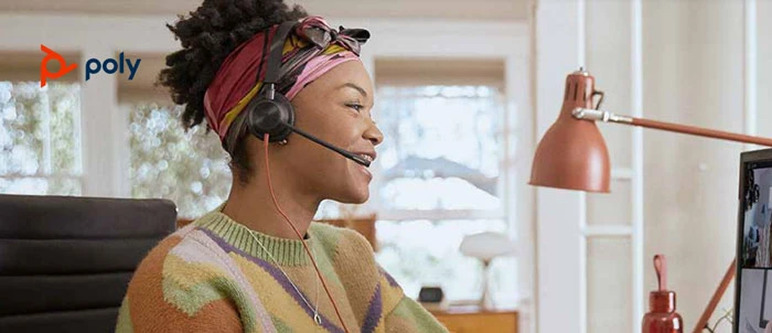 Tai nghe usb Plantronics Blackwire 3200 series