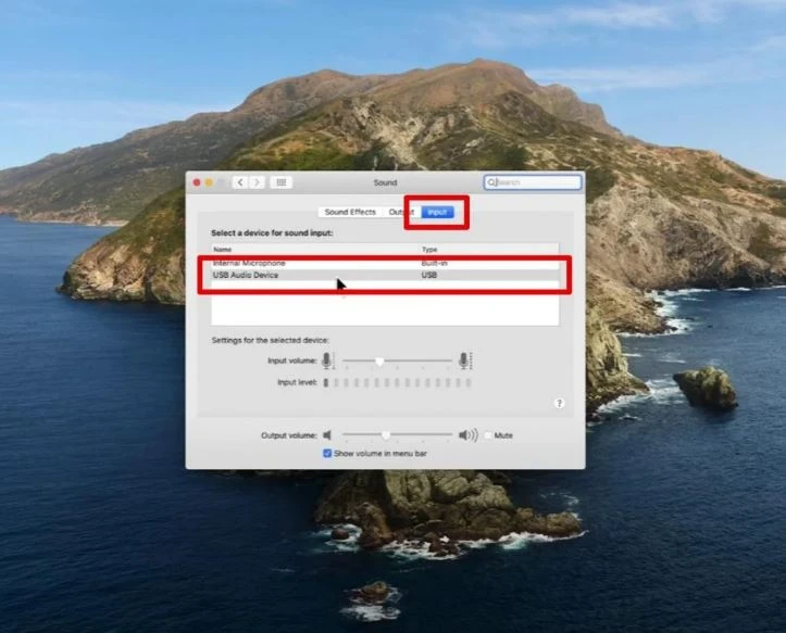 Nhấp vào tab Input, sau đó nhấp chuột trái vào thiết bị bạn muốn sử dụng để đặt nó làm mặc định.