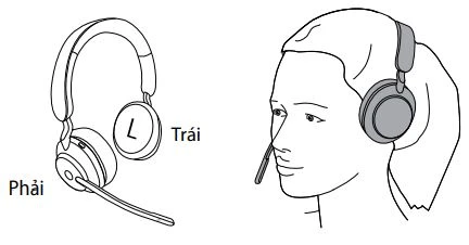 Biến thể Stereo