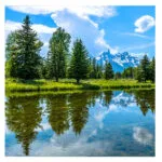 Màn hình LED P3.91 trong nhà LG LFCG039