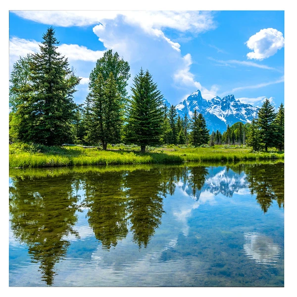 Màn hình LED P3.91 trong nhà LG LFCG039