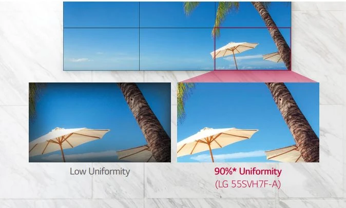 Biểu hiện màu đồng nhất