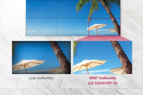 Biểu hiện màu đồng nhất