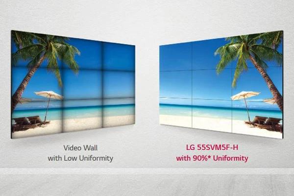 Biểu hiện màu đồng nhất