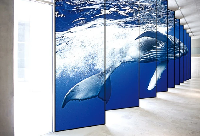 Chia màn hình với hình ảnh chân thực