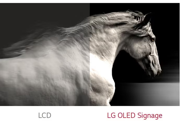 Các đặc điểm nổi bật của màn hình OLED cong LG EF5G-P