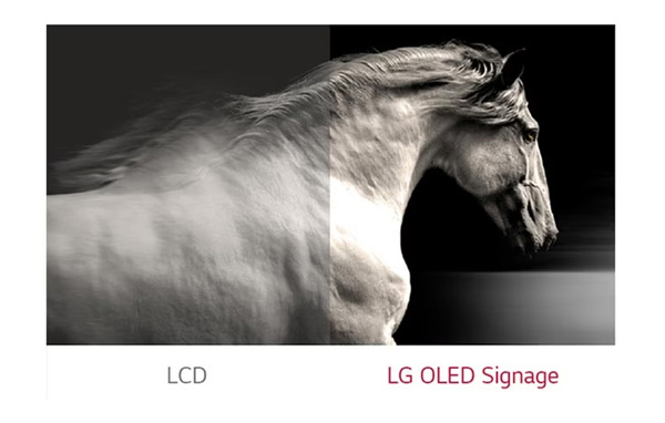 Các đặc điểm nổi bật của màn hình Flat OLED LG EJ5G