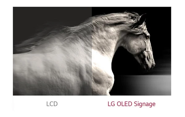 Các đặc điểm nổi bật của màn hình Flat OLED LG EJ5G