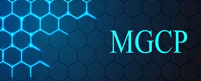 Giao thức MGCP (Media Gateway Control Protocol)