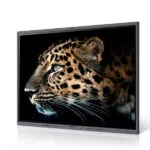 Màn hình tương tác Maxhub V6 Classic Series