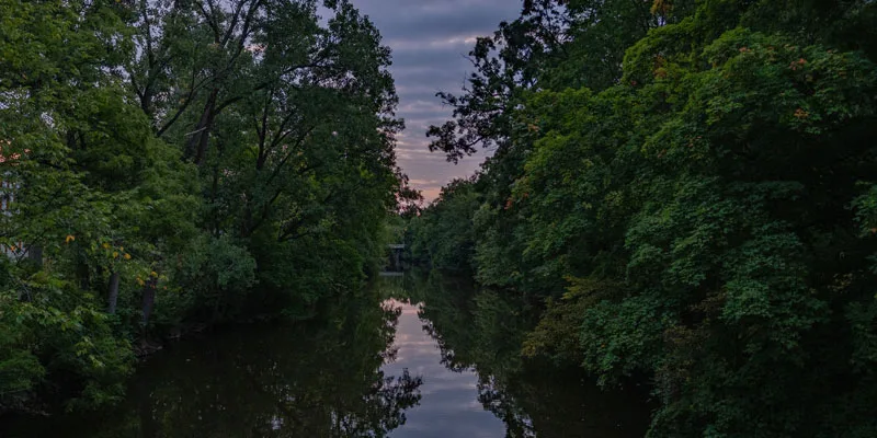 Michigan State University