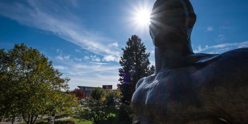 Michigan State University