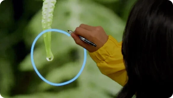 Khám phá những cách mới để tương tác