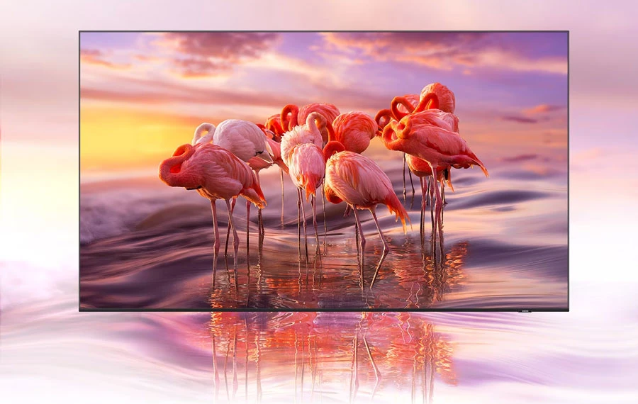 Các đặc điểm nổi bật của Samsung QA75Q65A