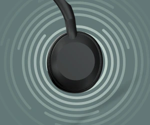 Loa tùy chỉnh 28mm