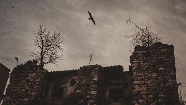 Tải hình nền Zoom Halloween miễn phí