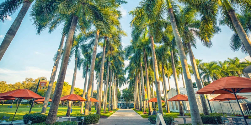 University of Miami