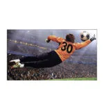 Màn hình ghép Video Wall LG 49VL5G