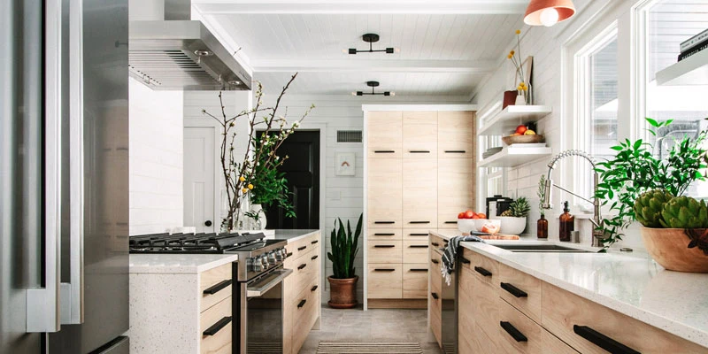 Background đẹp cho Zoom