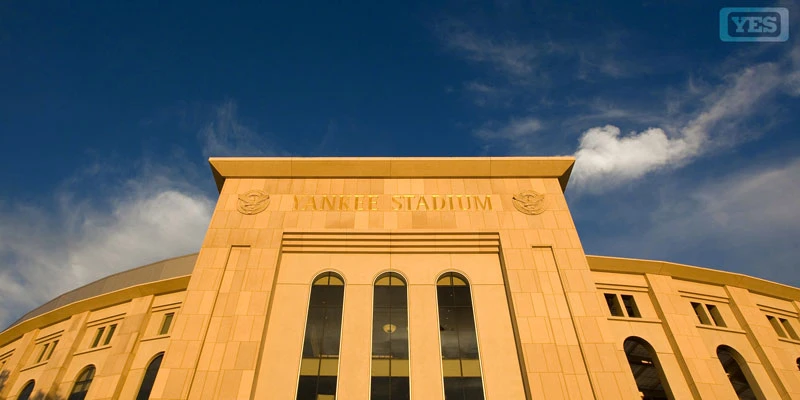 Nền ảo Zoom đẹp