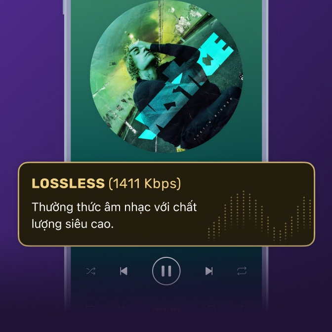 Zing Mp3 Plus - Nghe và tải nhạc Lossless