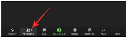 Spotlight sẽ được bật ngay lập tức. Ngoài ra, bạn có thể nhấp vào tab Participants ở cuối màn hình.