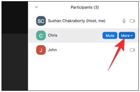 Nhấp vào người tham gia mà bạn muốn Tiêu điểm và nhấp vào More.