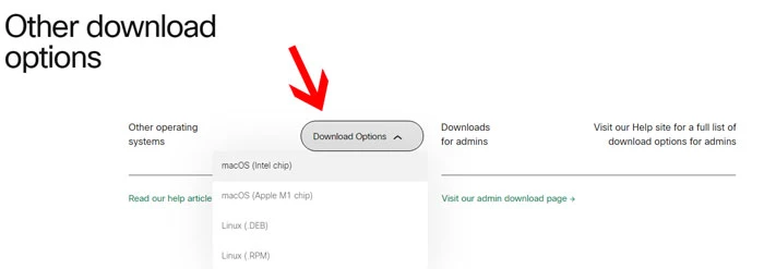 Click vào nút bên cạnh Download Options, chọn tùy chọn tải xuống cho macOS phù hợp