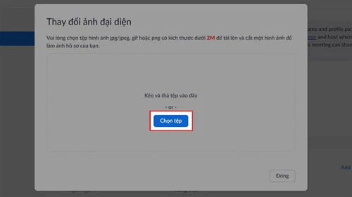 Nhấn Chọn tệp để tải ảnh lên hoặc bạn có thể kéo thả ảnh vào khung.