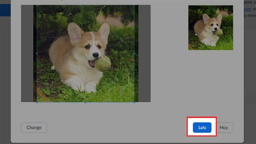 cach doi anh dai dien zoom tren may tinh