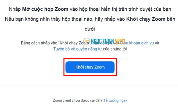 Nhấn Khởi chạy Zoom để mở trò chơi trên Zoom.