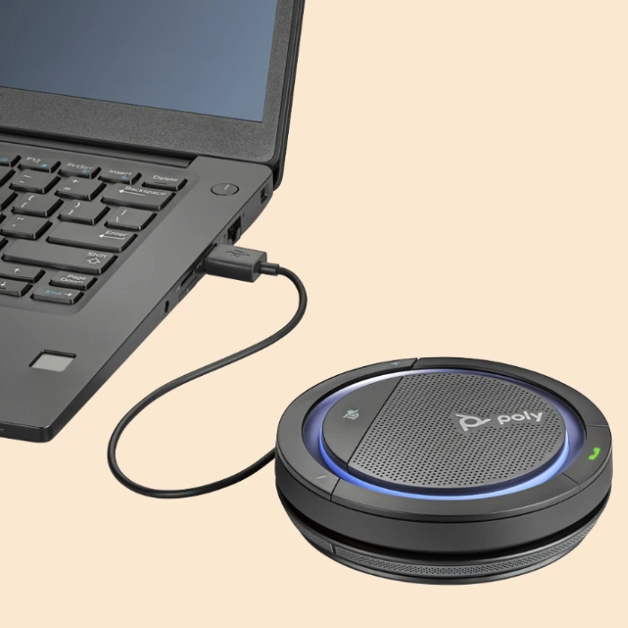 Loa tích hợp micro Calisto 5300