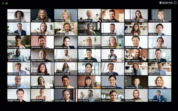 Chế độ xem thư viện trên Zoom