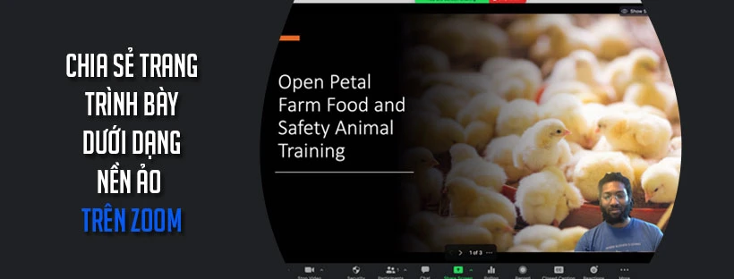 Chia sẻ trang trình bày dưới dạng nền ảo trên Zoom