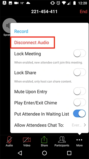 Disconnect Audio