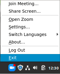 Cách thu nhỏ màn hình Zoom trên máy tính