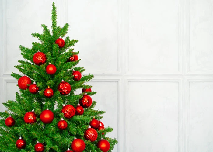 50+ Hình nền Zoom Giáng sinh full HD 2023