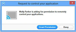 Sau khi yêu cầu được thực hiện, người tham gia từ xa sẽ thấy như sau: